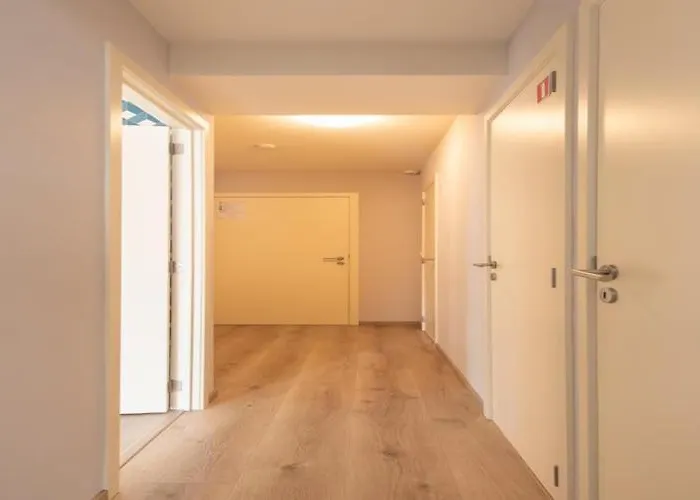 In Near The Apartament Ostenda