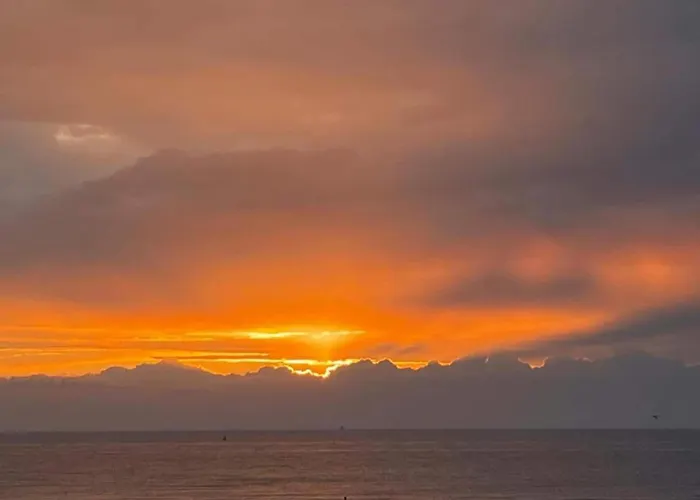 In Near The Apartament Ostenda